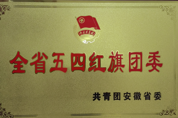 公司團委獲得一項省級榮譽 公司團委獲得一項省級榮譽